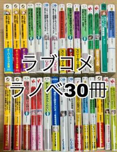 ラブコメ ラノベ ライトノベル まとめ売り 30冊 恋愛 - メルカリ