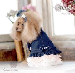 2025年最新】グラマーイズム 犬服・アクセサリーの人気アイテム