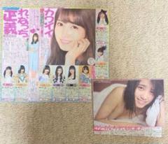 AKB48 加藤玲奈 推しグッズ キーホルダー 免許証 タグ セット AKB48 加藤玲奈 推しグッズ アクスタ キーホルダー 免許証 タグ