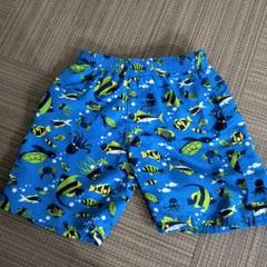 男の子用水着 青色 魚柄
