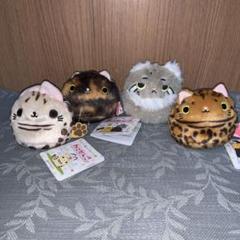 保管品！ねこだんご 4体セット 三英貿易 保管品！ねこだんご 4体セット 三英貿易 花シリーズ2 - メルカリ