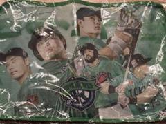 【未使用】東京ヤクルトスワローズ　応援ポーチ
