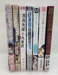 【値下げ可◎】BLグッズまとめ売り BLまとめ売り 7冊 20250801K04S - メルカリ