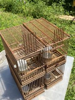 2025年最新】鳥用品 メジロ籠 めじろ籠の人気アイテム - メルカリ