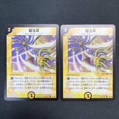 22839 碧玉草 エメラルドグラス 初期 2枚セットのサムネイル