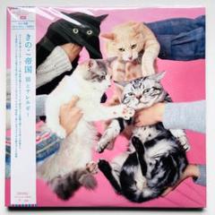 2025年最新】きのこ帝国 猫とアレルギーの人気アイテム - メルカリ