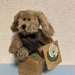 THE BOYDS  BEAR  テディベア　ぬいぐるみ　中古品 2025年最新】boyd bearの人気アイテム - メルカリ