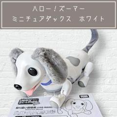 楽天市場】タカラトミー オムニボット(Omnibot) ハロー!ズーマー