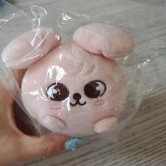 2025年最新】スンミン ぬいぐるみの人気アイテム - メルカリ
