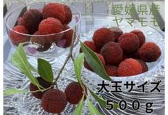 大玉やまもも１箱➕訳あり1キロ 2025年最新】やまもも 大玉の人気アイテム - メルカリ