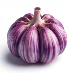 岡山県産和気紫にんにく 10kg【sale】
