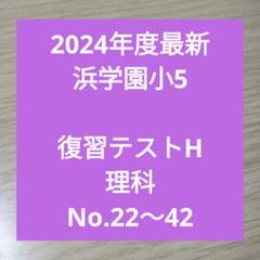 本日のみ値下げ❗浜学園　【最新版】無記入　小5  国語　Sクラス 浜学園 小5 2021年度 国語 Sクラス 復習テスト 解答、解答用紙