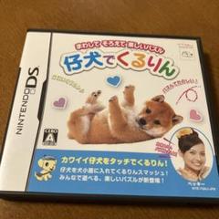 ニンテンドーDSソフト　仔犬でくるりん