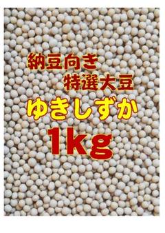 令和5年産 大豆 25kg カナダ産 色彩選別済み