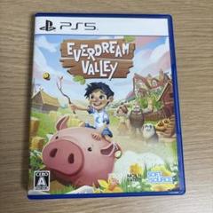 EVERDREAM VALLEY PS5