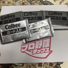 新品未使用ファイル付き　２０２１プロ野球チップスカード　第一弾　合計２０３枚 新品未使用ファイル付き 2021プロ野球チップスカード 第一弾