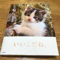岩合光昭 スタンプの中古/未使用品 - メルカリ 岩合光昭 スタンプの中古/未使用品 - メルカリ