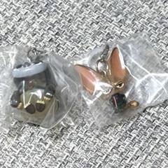 【即購入◎】 ズートピア　めじるしアクセサリー　フィニック　フラッシュ