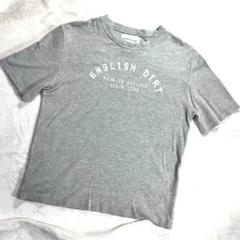 イングランド製 PEREGRINE ペレグリン 刺繍 Tシャツ グレー Lサイズ