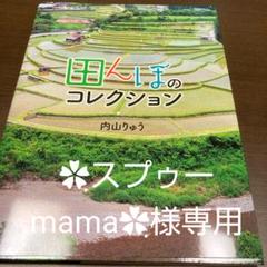 田んぼのコレクション他2冊