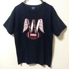 新品/美品 EGUMI Tシャツ Mサイズ 2色セット 2025年最新】egumi tシャツの人気アイテム - メルカリ