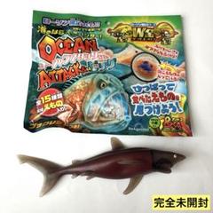 2025年最新】オーシャンアタック&co ハビレの人気アイテム