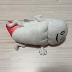 ずーしーほっきー マスコット ぬいぐるみ セット 北海道北斗市公認キャラ☆ずーしーほっきー☆ホキホキぬいぐるみ