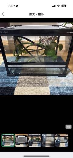 WILD PLANETケージ WP645 爬虫類 飼育ケージ - メルカリ