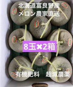 北海道富良野メロン 赤肉 8玉 ✖︎2箱有機肥料 農家直送(6
