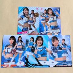 【絶品】 2023 辻菜穂子直筆サインカードチェキ8/10 その他