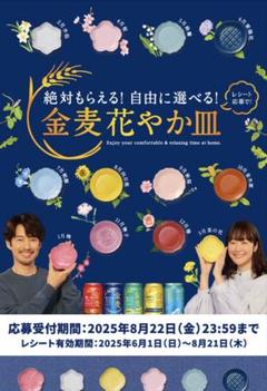 金麦花やか皿288点分12箱分 - メルカリ