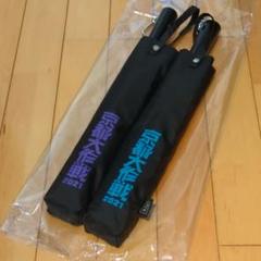 美品 京都大作戦 2021 傘 青 紫 KiU 万能傘 - メルカリ