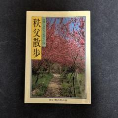 掛軸 山本光洋『秩父観音霊場三十四寺院巡礼御朱印』絹本 合箱付 掛け軸 y621 掛軸 山本光洋『秩父観音霊場三十四寺院巡礼御朱印』絹本 合箱付