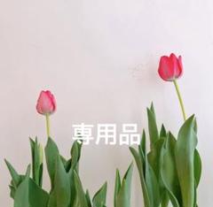 アルテミス★プロフ必読お願いします うみ♪プロフ必読 の出品した商品 - メルカリ