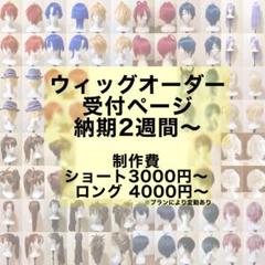 コスプレ ウィッグオーダー 受付ページ 2025/05/08新設 - メルカリ