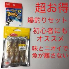 ⚠️最終値引き❗️⚠️爆釣セット❗️⚠️スモーク⚠️パワーシュリンプ3、ブレディ♯2コロラド