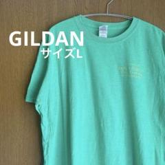 GILDAN ギルダン　グリーンTシャツ　アメリカン古着　大きめ