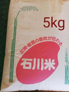 もち米 石川県産 令和2年 5kg
