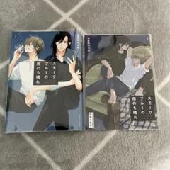 スモークブルーの雨のち晴れ　波真田かもめ　コミコミ　BL マンガ特典セット