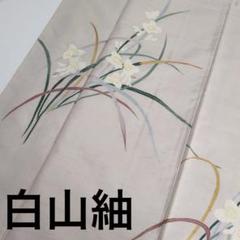 白山紬 付け下げ 正絹 友禅 紋なし 素敵な花 着物 U-6892 白山紬 付け下げ 正絹 友禅 紋なし 素敵な花 着物 U-6892 - メルカリ