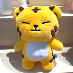 ホシ ぬいぐるみ MINITEEN ポップアップ セブチ - メルカリ