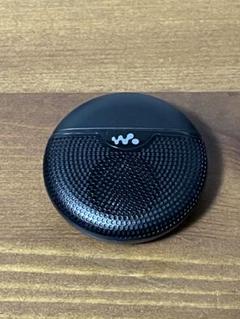 Amazon.co.jp: ソニー ボイス録音用ステレオマイク ウォークマン用 ECM-NW10 [並行輸入品] : 家電＆カメラ