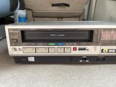 m50490696643_1.jpg?1719728586