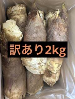 スイーツ様　京都山城産　朝掘り筍訳あり5kg 2025年最新】朝掘りたけのこの人気アイテム - メルカリ