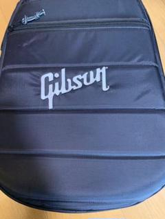 D45　Gibson ギブソン　アコースティックギター用　セミハードケース takeya-g_gflj