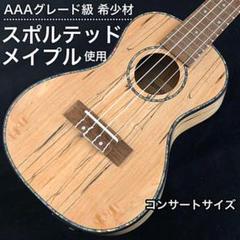【希少銘木】スポルテッド・メイプル製エレキコンサート・ウクレレ【入門セット】
