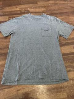 patagonia パタゴニア Tシャツ グレー