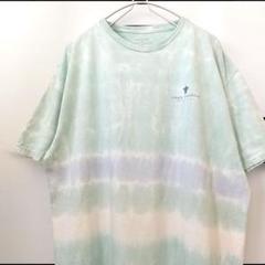 simplysouthern アニマル カメ タイダイ Tシャツ 青系 L 古着