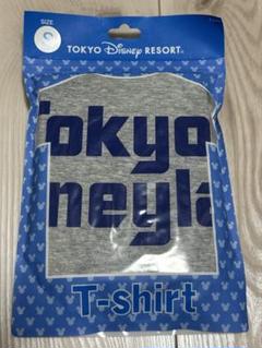 大人　Sサイズ　ディズニーランド　Tシャツ　ロゴ　グレー