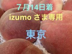 【専用出品】モモさま専用 Today's momoko 2406 2nd - PetWORKs Store